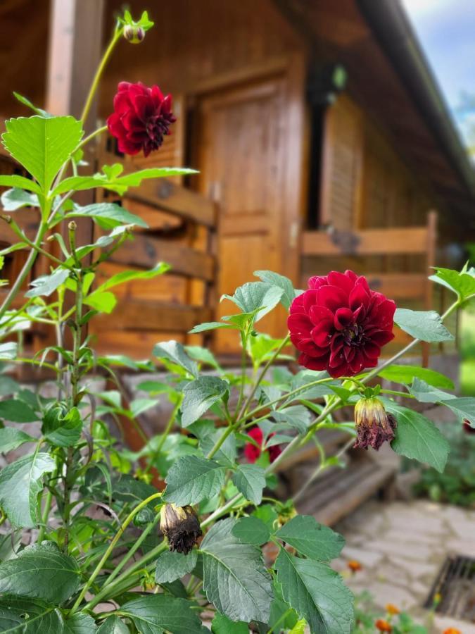 Rest House Ripac Prascijak Eksteriør billede